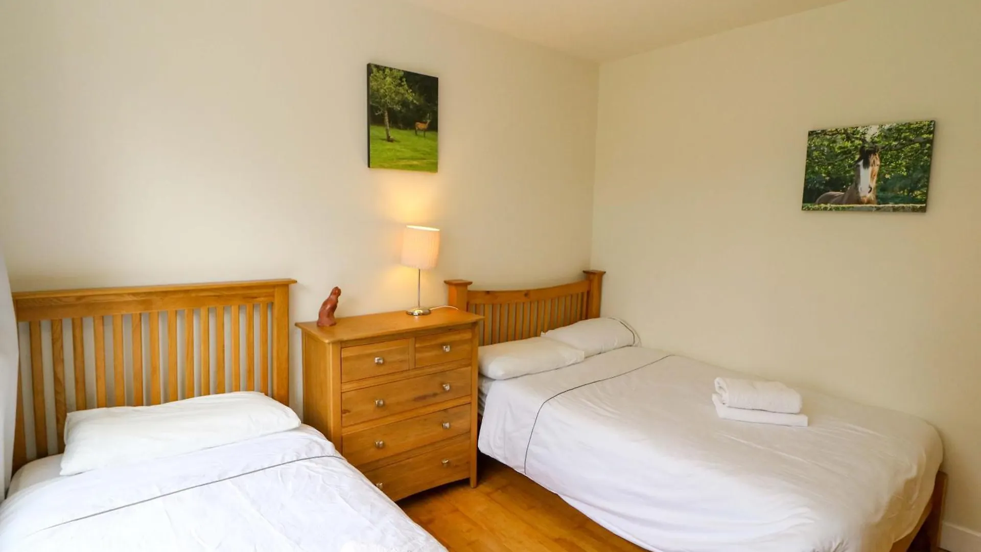 Rowantree Villa Killarney
